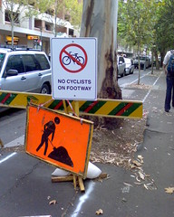 Cyclist protection from trees