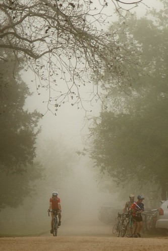 The Cyclist Who Came From The Fog