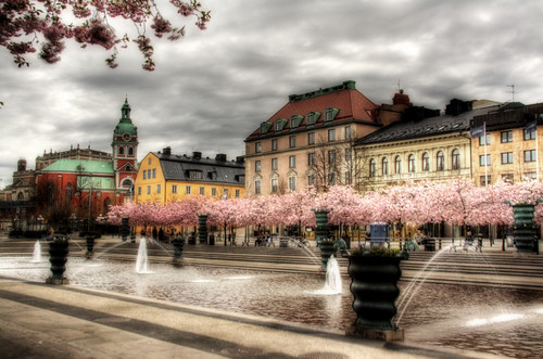 King's garden and cherry trees, Stockholm. Jardín del rey y cerezos, Estocolmo.