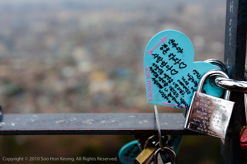 Locks of Love @ N Seoul Tower, Seoul Korea