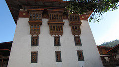 Bhutan-1671