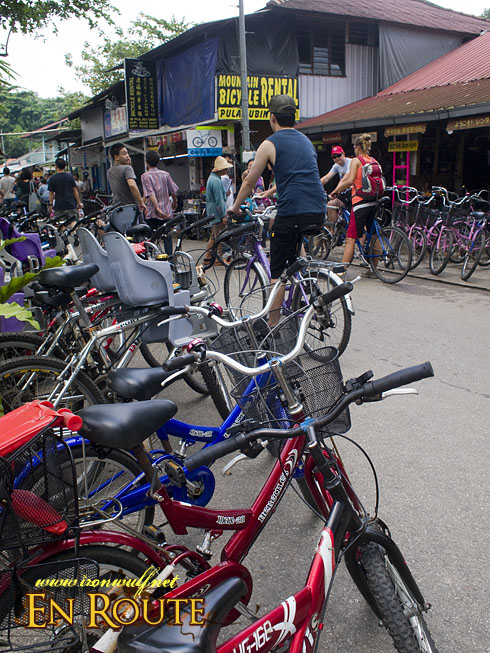 Pulau Ubin Bike Rentals