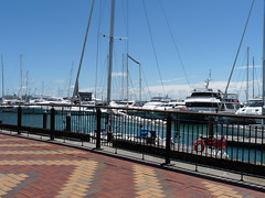 The marina, Auckland