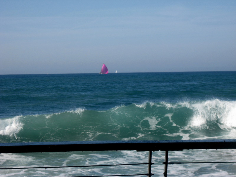 16-1-2010-pink-sails