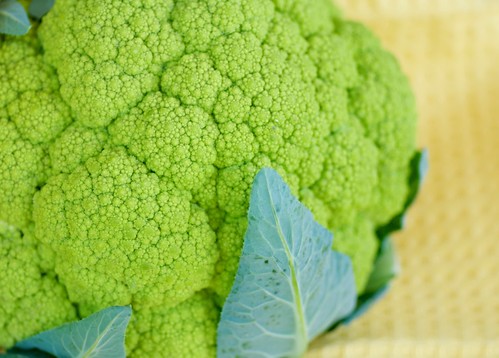 green cauliflower or broccoflower  DSC_0001