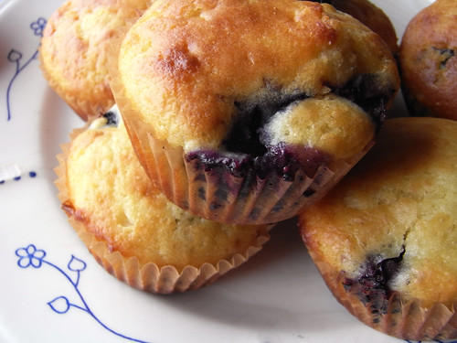 02-24 blueberry muffin