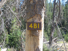The camp marker for 4B1 at the fire ring.