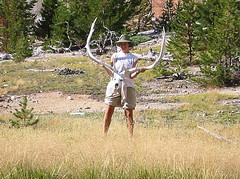 Leslie and the elk skull on the little island just north of 4B1.  Jake stood in this spot three years earlier for a photo.  I think it's amazing that the skull has held together all these years.