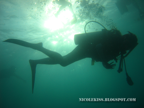 nicolekiss diving silhouette