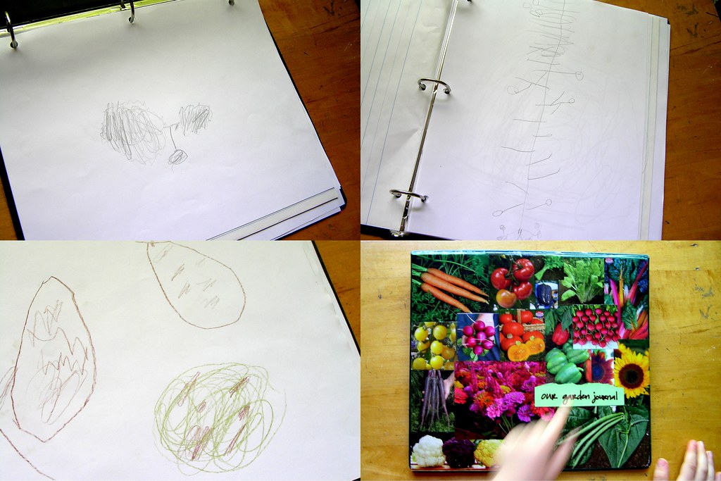 garden journal sketches