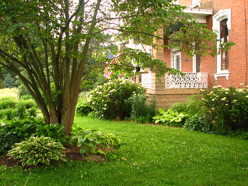 front yard