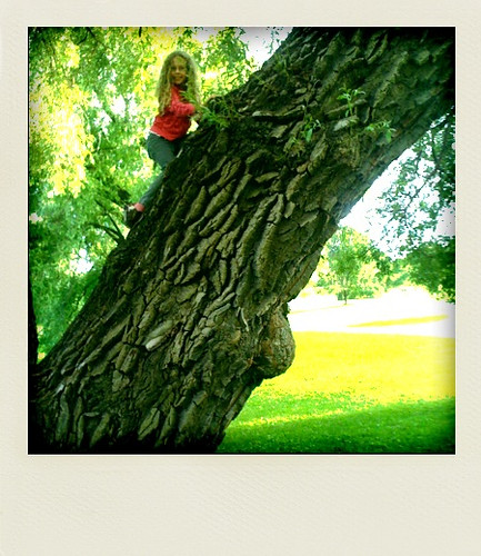 Arboretum - climbing a tree