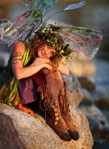 Twig the fairy day dreaming illuminated by the setting sun near the 