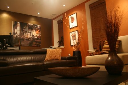  Design Living Room on Aphrochic  Hgtv Design Star  Alex Sanchez