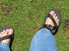 ... sandals picture lookdown waikikibeach chaco sandal 2010 beachgrass