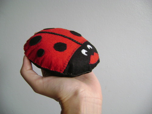 2010-02-14 14.46 Ladybug by dampig.