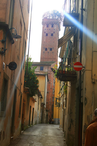 Torre Guinigi a Lucca Toscana