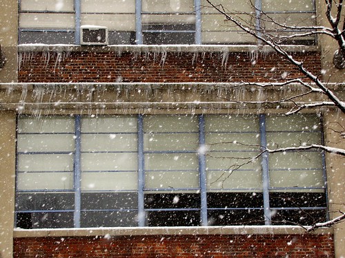 Icicles in the Windows
