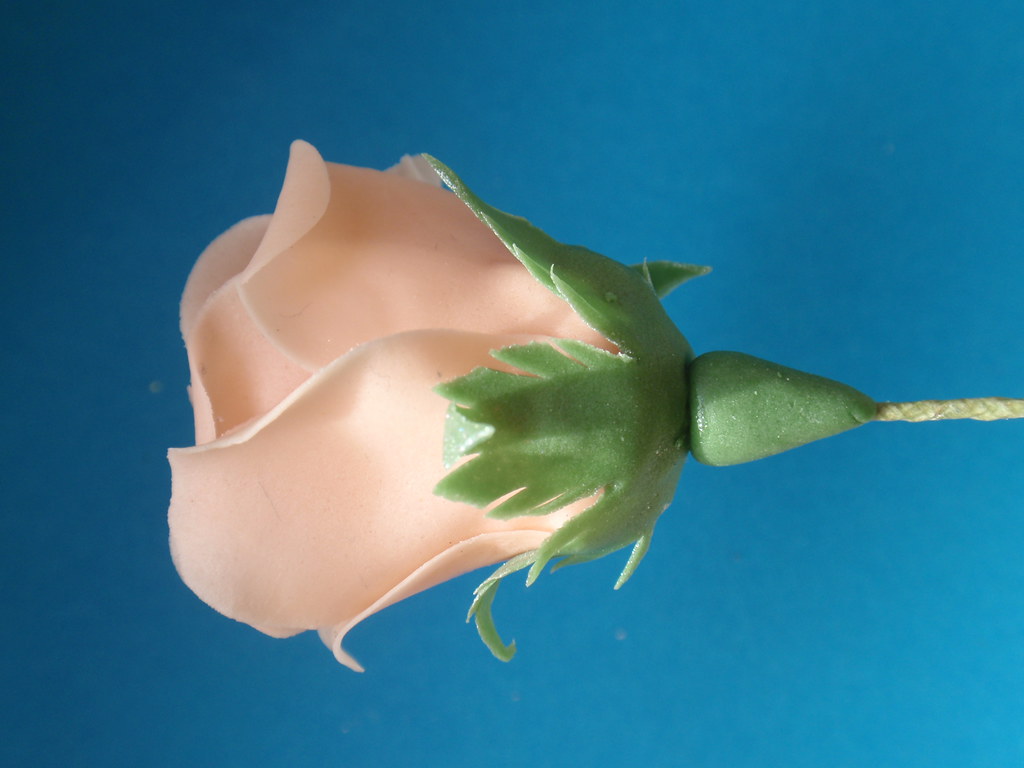 Making a full sugar flower rose