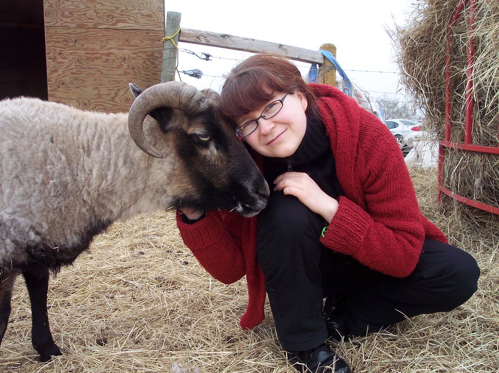 Sheep Shearing 2010 - cuddling with Rolf