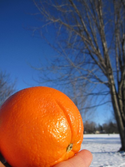 Winter Orange