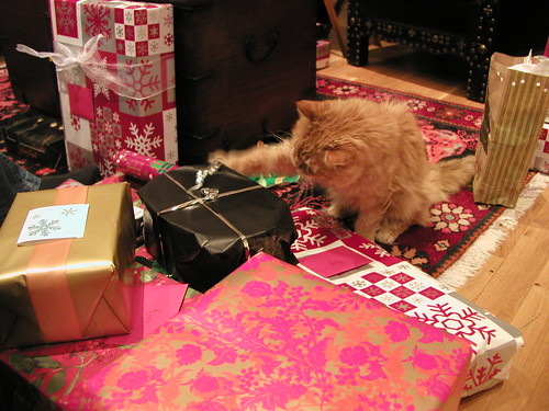 Sweet Kitty opens packages 1209 003
