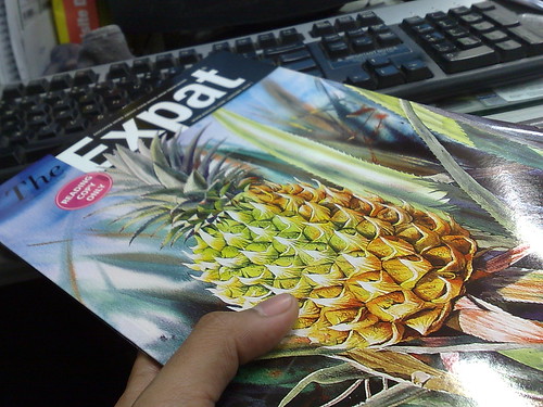 Majalah Expat keluaran Januari 2010 dah keluar.