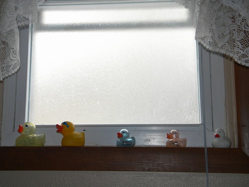 Window Ducks