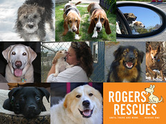 Rogers_Rescues_Collage