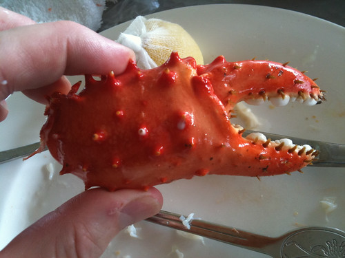 Brisbane Crab claw