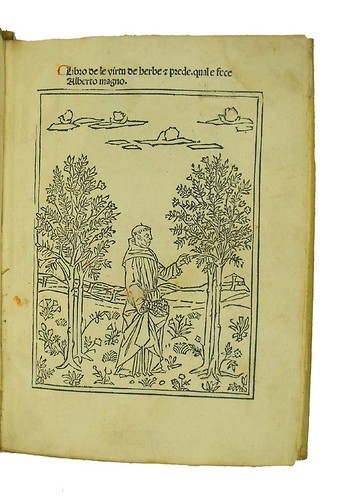 Title-page with woodcut illustration from Albertus Magnus [pseudo-]:  Liber aggregationis, seu Liber secretorum de virtutibus herbarum, lapidum et animalium quorundam