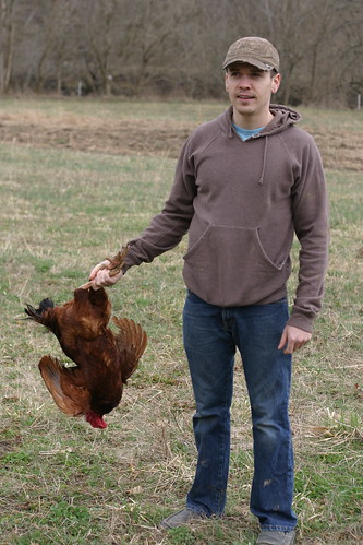 Kurt and the Rooster