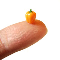 Orange Pepper... Fingertip :o)