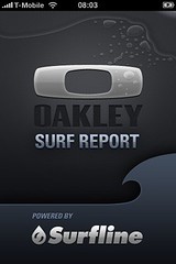 Surf Report (1/4)