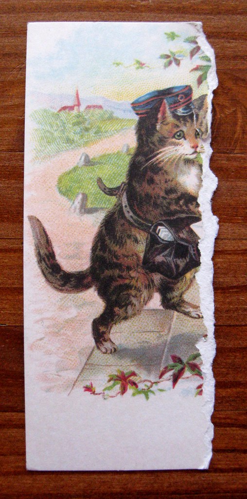 Ripped kitty postcard