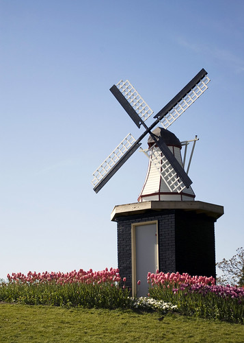 Windmill at Tulip Time in Holland, MI