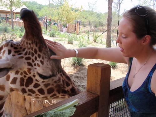 Aunt Jennifer Petting the Giraffe
