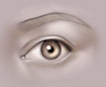 Drawing_the_human_eye