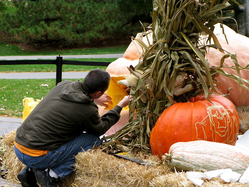 Giant pumpkin carver Scott Cully sets to work on the 1810.5 lb World Record 