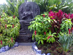 Feng Shui Garden