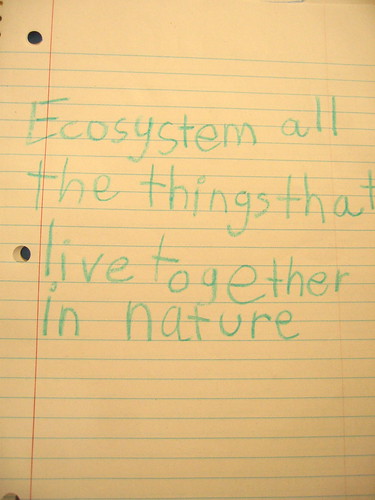 Ecosystem project