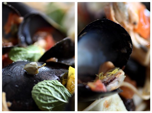 Levant Steamed Mussels duo