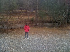  Sophie at Ward Creek