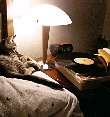 Chill'n With Vinyl