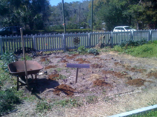 Spring Planting at McRorie Community Garden