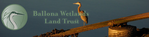 Ballona Wetlands Trust