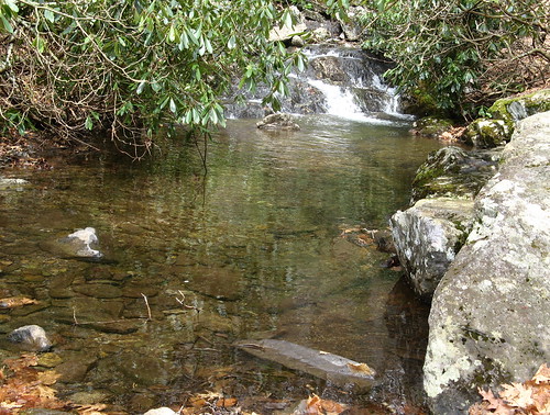 Cabin Creek