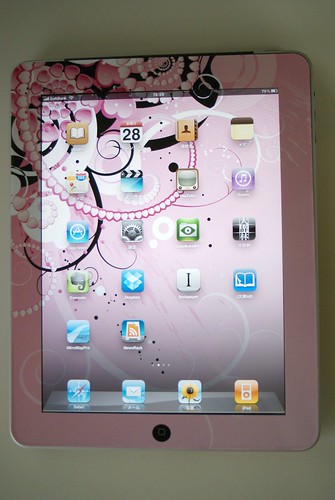 iPad with Skin: Front