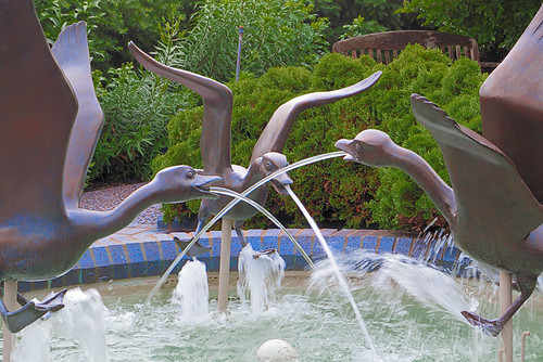Missouri Botanical Garden (Shaw's Garden), in Saint Louis, MIssouri, USA - fountain of geese