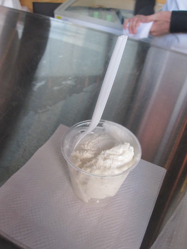 Vanilla ice cream at Breyer's event